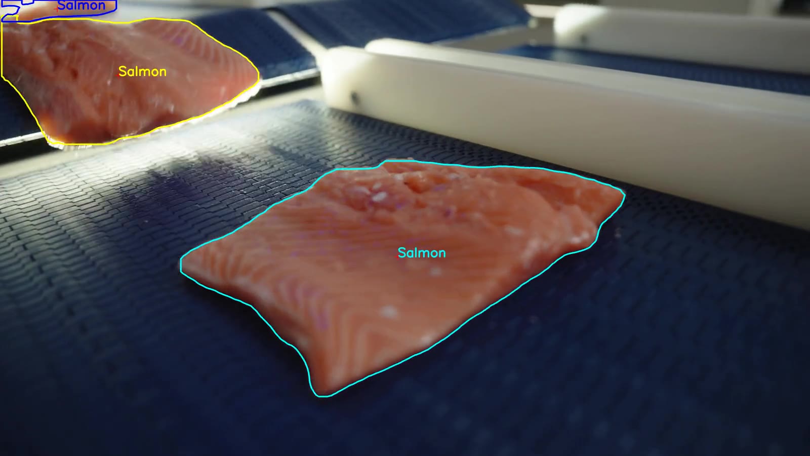RapiD Vision recognising salmon portions on the conveyor, each outlined by the AI